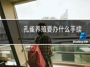 孔雀养殖要办什么手续