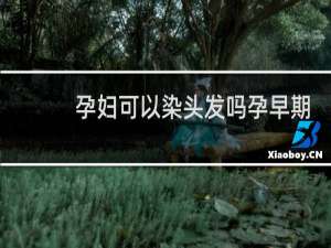 孕妇可以染头发吗孕早期