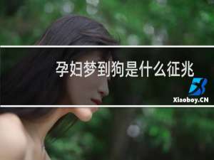 孕妇梦到狗是什么征兆（孕妇梦到狗是什么意思）