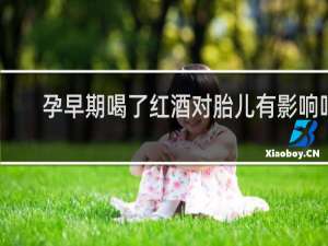孕早期喝了红酒对胎儿有影响吗