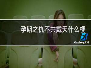 孕期之仇不共戴天什么梗？什么梗