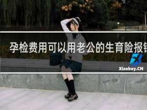 孕检费用可以用老公的生育险报销吗