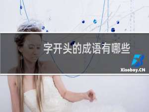 字开头的成语有哪些