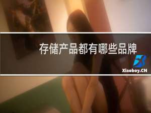 存储产品都有哪些品牌
