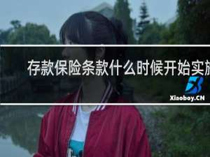 存款保险条款什么时候开始实施