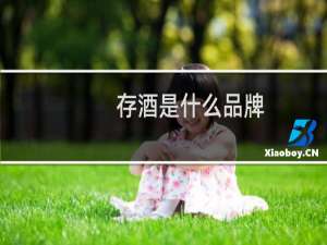 存酒是什么品牌
