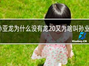 孙亚龙为什么没有龙 又为啥叫孙业什么梗