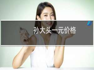 孙大头一元价格