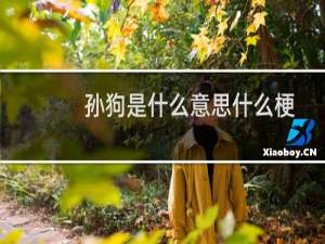 孙狗是什么意思什么梗