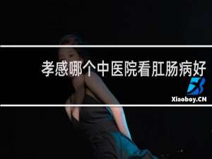 孝感哪个中医院看肛肠病好