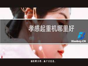 孝感起重机哪里好