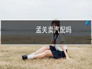 孟关卖汽配吗