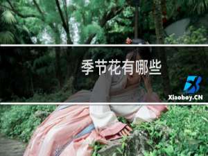 季节花有哪些