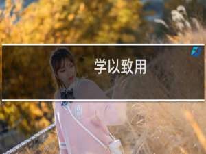学以致用