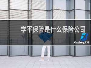 学平保险是什么保险公司