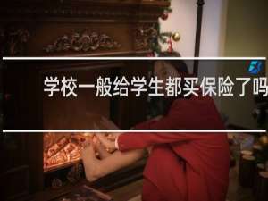 学校一般给学生都买保险了吗