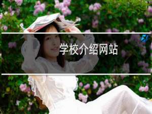 学校介绍网站，不需要特别材料吧