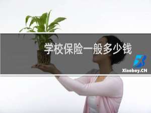 学校保险一般多少钱