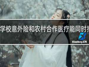 学校意外险和农村合作医疗能同时报销吗