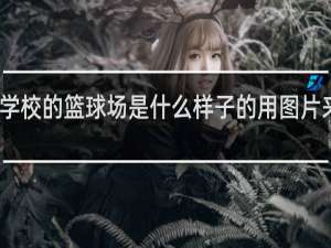 学校的篮球场是什么样子的用图片来表示