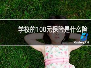学校的100元保险是什么险