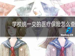 学校统一交的医疗保险怎么查