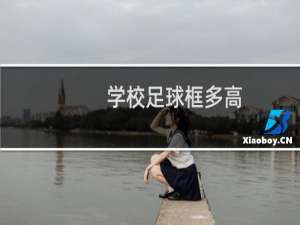 学校足球框多高