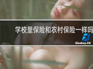 学校里保险和农村保险一样吗