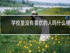 学校里没有喜欢的人吗什么梗
