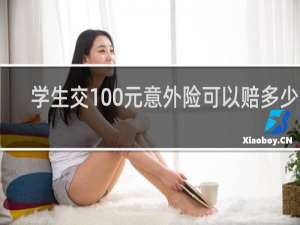 学生交100元意外险可以赔多少钱