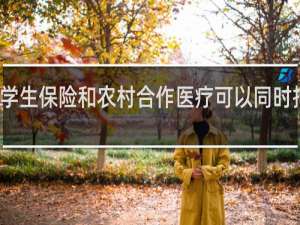 学生保险和农村合作医疗可以同时报销吗