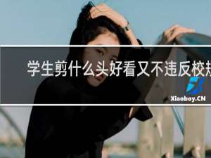 学生剪什么头好看又不违反校规