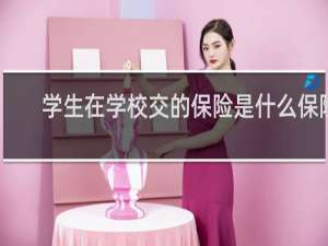 学生在学校交的保险是什么保险