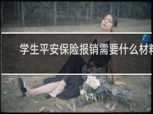 学生平安保险报销需要什么材料