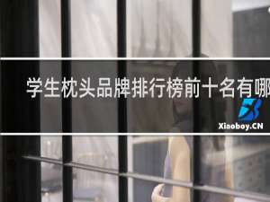 学生枕头品牌排行榜前十名有哪些