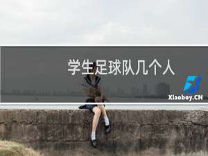 学生足球队几个人