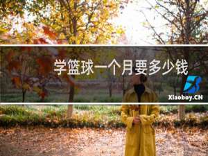 学篮球一个月要多少钱
