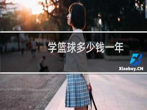学篮球多少钱一年