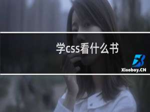 学css看什么书