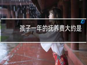 孩子一年的抚养费大约是多少