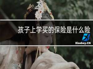 孩子上学买的保险是什么险