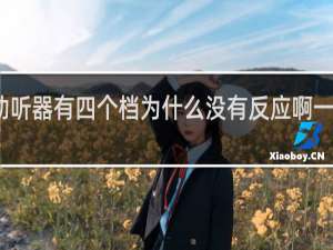 孩子的助听器有四个档为什么没有反应啊一点声音都没有