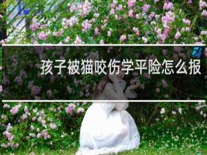 孩子被猫咬伤学平险怎么报