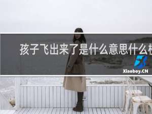 孩子飞出来了是什么意思什么梗