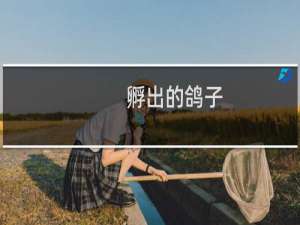 孵出的鸽子