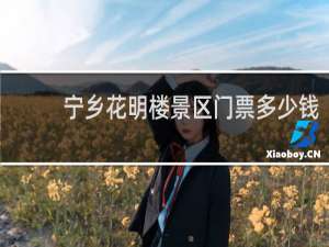 宁乡花明楼景区门票多少钱