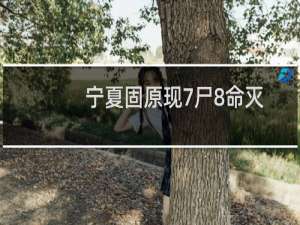 宁夏固原现7尸8命灭门案