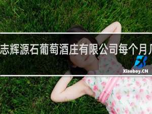 宁夏志辉源石葡萄酒庄有限公司每个月几号发工资