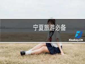 宁夏旅游必备
