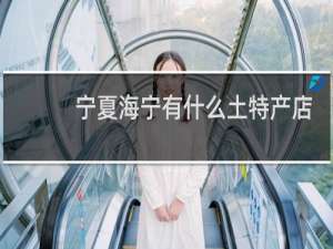 宁夏海宁有什么土特产店